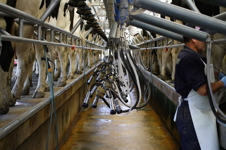 Productores cuestionan reavalúo agrícola y ven desconexión de la ley con el sector