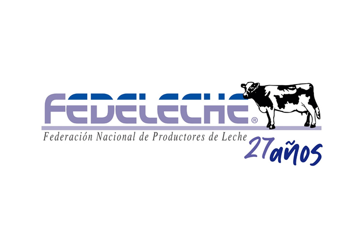 Análisis de Coyuntura: Crecimiento, Mercado y Desafíos para el Sector