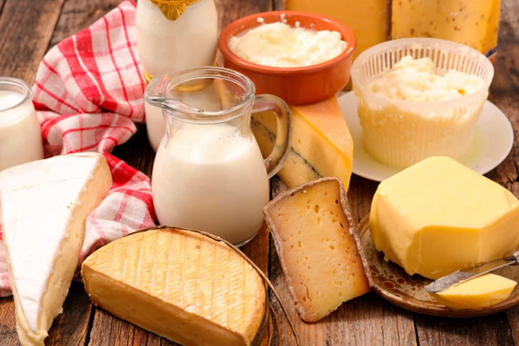 Un nuevo estudio muestra que el consumo de leche mejora la biodiversidad intestinal y el queso reduce ciertos microbios