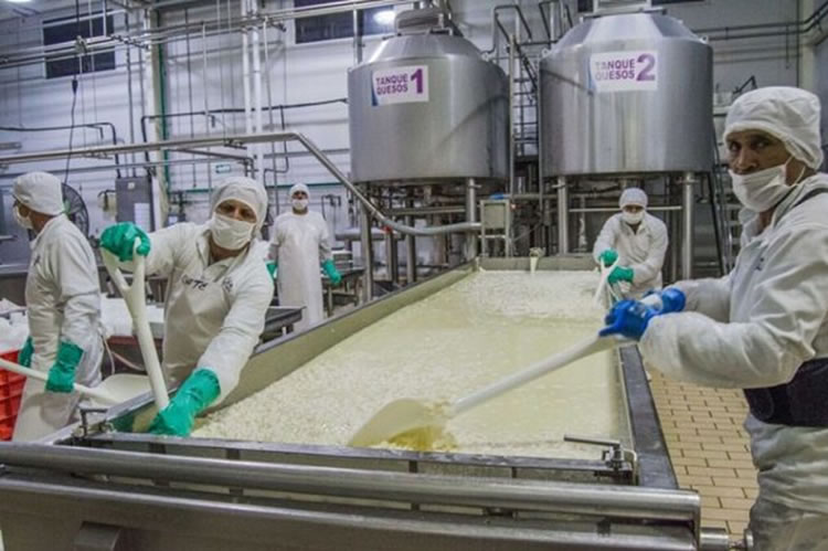 El consumo de lácteos se mantiene en alza en quesos, yogur y leche fluida