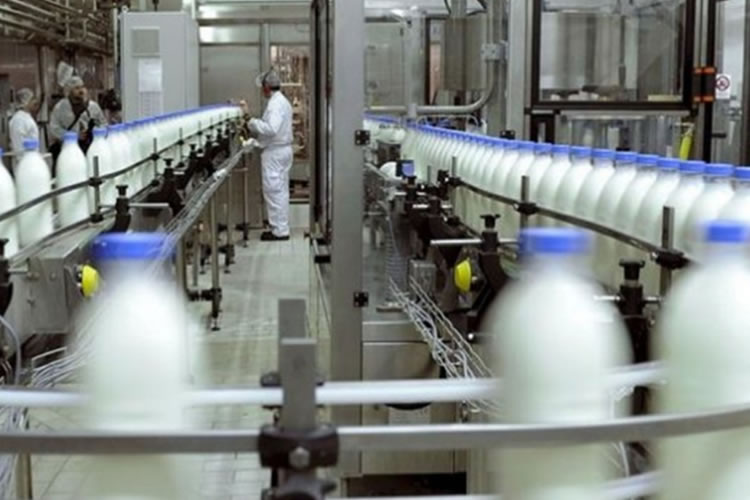 Producción de lácteos con un panorama positivo en general