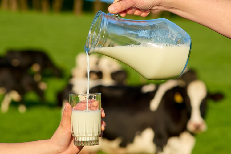 Sector lácteo impulsa consumo, proyección internacional y relevo 