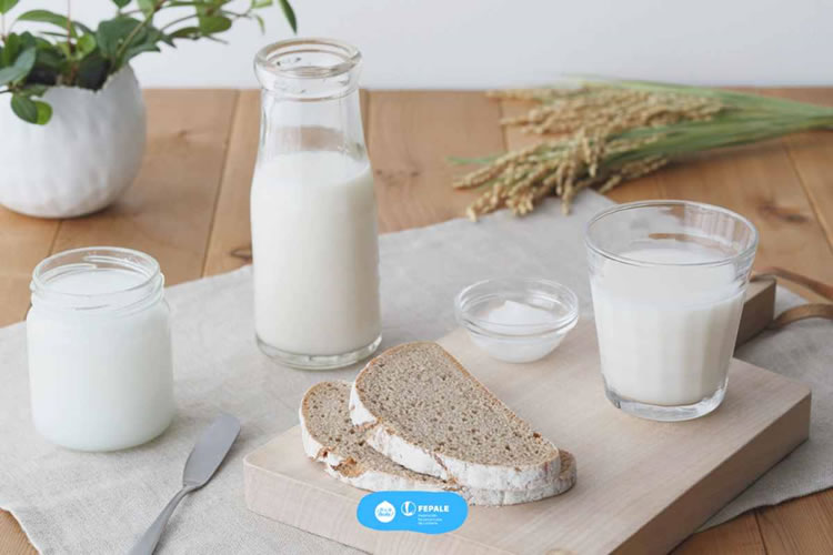 Lácteos,  una gran opción para complementar grupos de alimentos