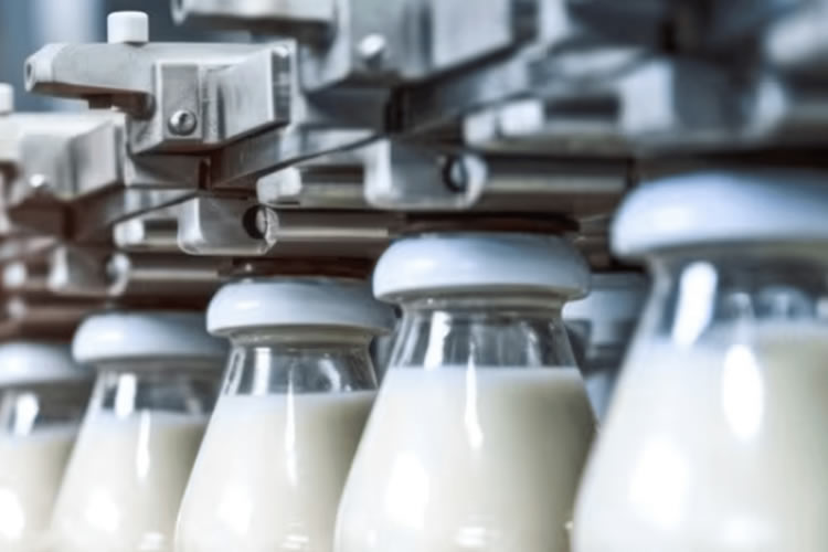 Ranking mundial: ¿cuáles son las 20 empresas lácteas que más facturan a nivel global?