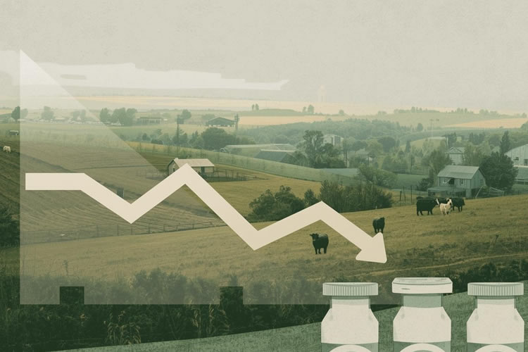 Precio al productor al mes de julio acumula caída de 1,2% frente a 2024