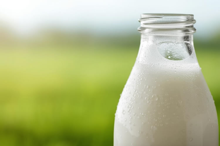 En lo que va del año, la producción mundial de leche creció 0,5%