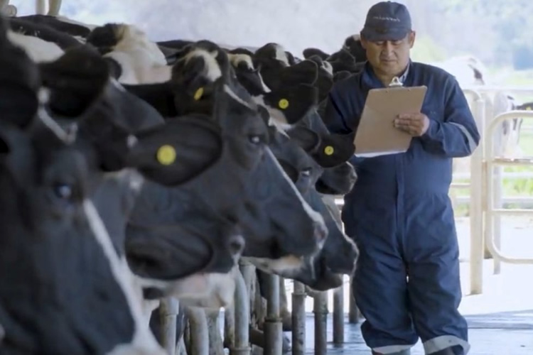 Asociatividad y cooperativismo en el sector lechero