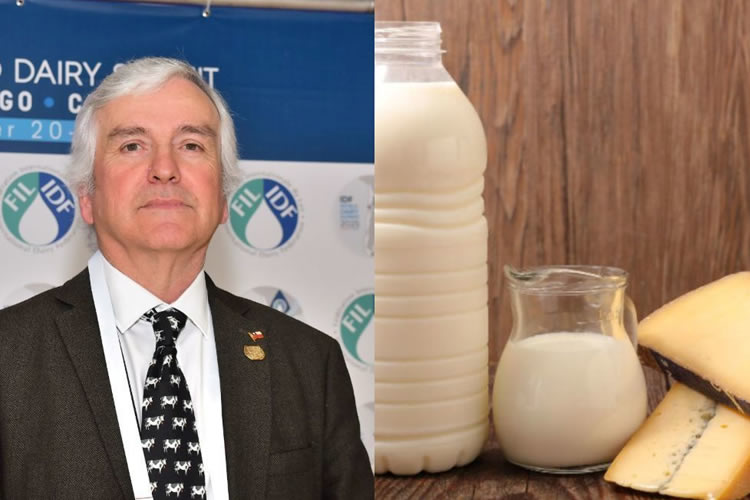 “El sector tiene potencial y bajo condiciones favorables, puede responder con fuerza y eficiencia”