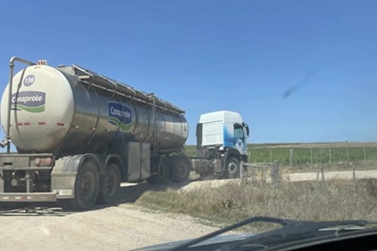 La lechería uruguaya volvió a mostrar señales de dinamismo en octubre de 2025