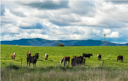 Entregan recomendaciones para enfrentar primavera-verano 