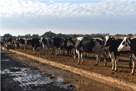 Argentina: “La primavera asoma más tranquila”
