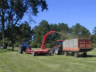 Valoran votación para suspender la norma sobre recambio de maquinaria