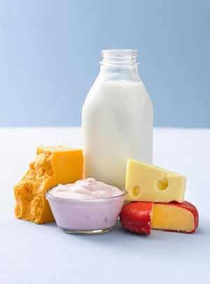 Conceptos básicos de la Leche y los productos lácteos