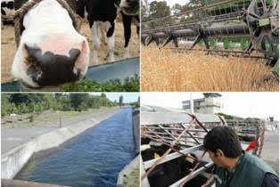 2018 Los desafíos del próximo Gobierno