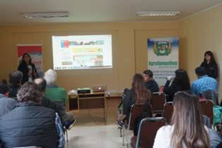 Llanquihue en guerra contra la fiebre Q