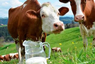 Destacan a la leche como la hidratación perfecta para deportistas