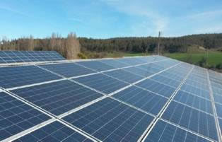 Inauguran mayor planta fotovoltaica en lechería del sur de Chile