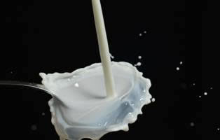 Precio de los lácteos en Fonterra cae marginalmente