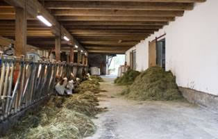 LTO anuncia una caída del precio de la leche hasta un promedio de 35,44 euros