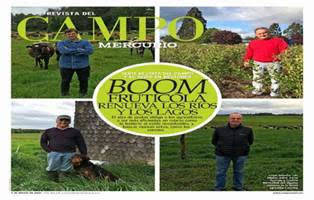  Boom frutícola y producción lechera al estilo neozelandés renuevan Los Ríos y Los Lagos