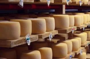 Uruguay: Exportaciones de lácteos bajaron un 10%