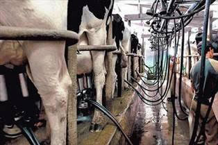 Acogen solicitud de investigación a importaciones presentada por gremio lechero