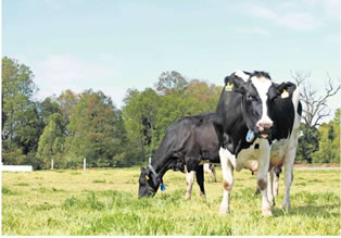 Esperan que Mesa de la leche acerque posiciones entre gremios y la industria