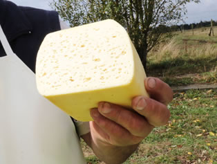 Programas de TV, mayor poder adquisitivo y nuevas tendencias impulsan consumo e importación de queso