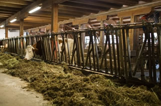 Comisión Europa prevé crecimiento  moderado a 2030