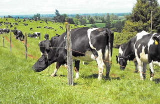 Cómo prepararse a mayores temperaturas en verano