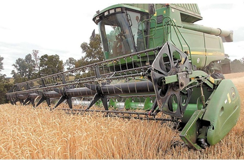 Agro: Hitos y tendencias que cambiaron entre 2000-2019