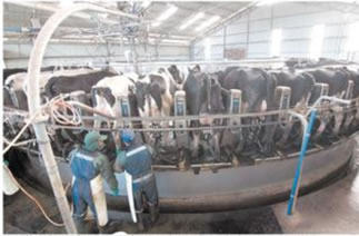 Gremios prevén una reactivación del sector 