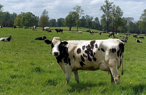 Repaso de la situación productiva a noviembre 2019