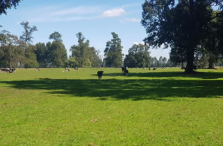 “La inversión en riego es clave para consolidar la producción”