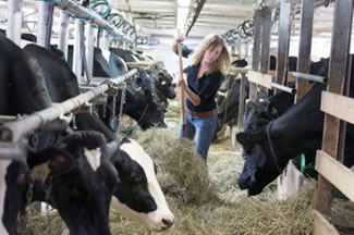 Los desafíos que enfrentan las mujeres en el agro