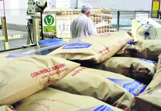Uruguay: Exportaciones de lácteos caen 40% en febrero 