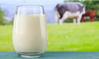 7 mitos sobre la leche, desmentidos