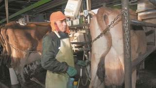 Agricultura prorroga pago de créditos de usuarios de Indap 