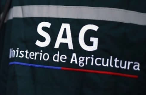 SAG extiende vigencia de documentos hasta por 6 meses 