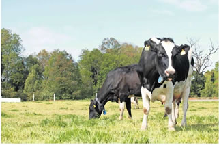 Gremios aseguran que cadena productiva seguirá funcionando 