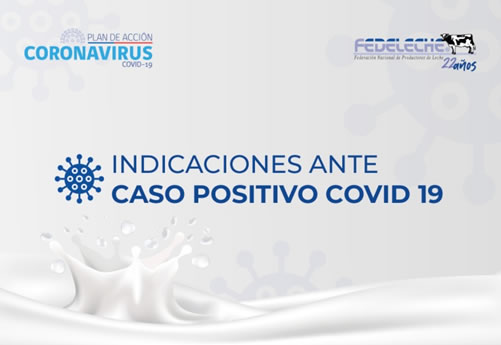 Qué hacer ante un caso positivo Covid 19 en lechería 