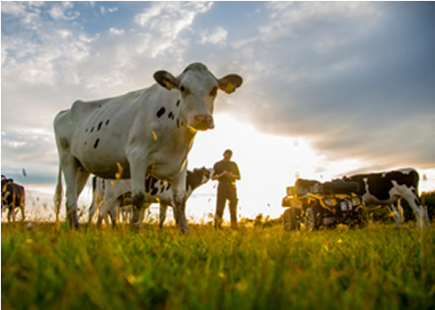 Los desafíos del sector agrícola en la zona sur 
