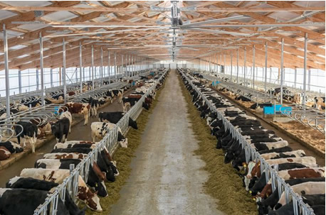 Producción de leche en EEUU subió un 1,4% en abril 