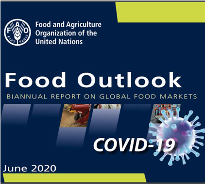 FAO: Perspectivas LÁCTEAS, junio 2020 