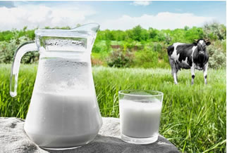Argentina: Las usinas lácteas repetirán el precio en junio