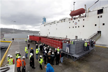 Segunda exportación de vaquillas vivas a China 