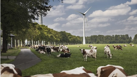 Rabobank ve un aumento de la producción mundial de leche