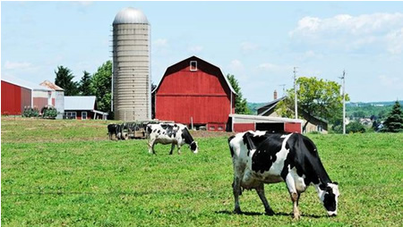 El número de granjas lecheras de EE.UU. sigue disminuyendo