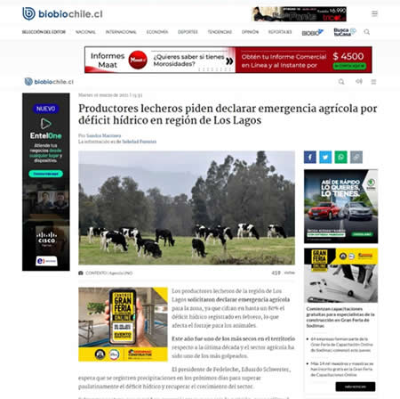 Productores lecheros piden declarar emergencia agrícola 