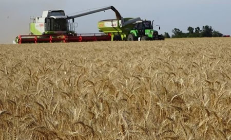 Comercio agrícola muestra resiliencia en el mundo